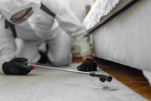 Professional Termite Control technician working in Markle, IN