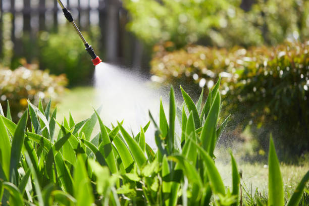 24/7 Emergency Termite Control experts in Markle, IN