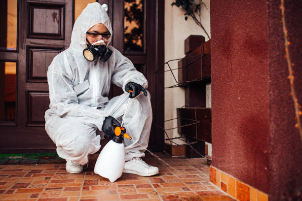 Reliable Termite Control contractor in Markle, IN by Nex Pest Control