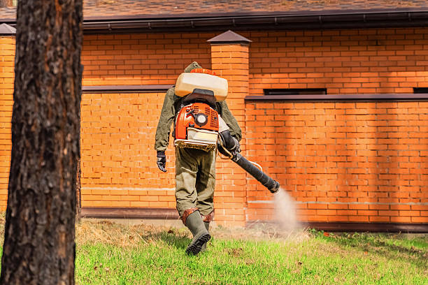 Top rated local Termite Control specialists in Markle, IN